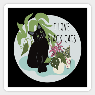 I Love Black Cats Magnet